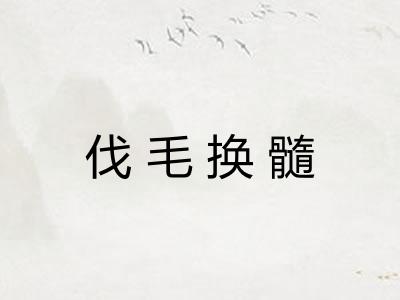 伐毛换髓