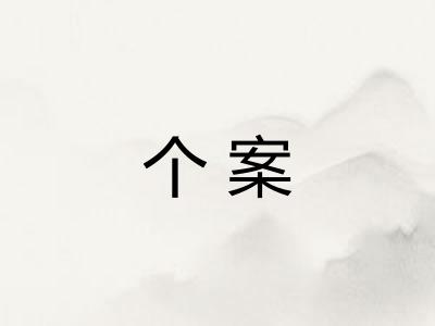 个案