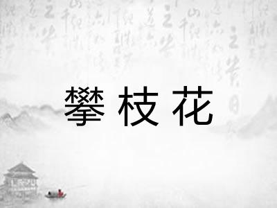 攀枝花