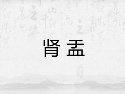 肾盂