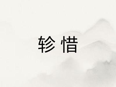 轸惜