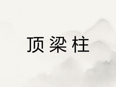 顶梁柱