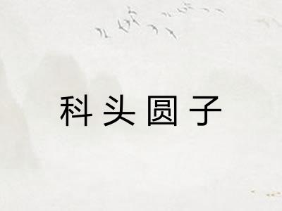 科头圆子