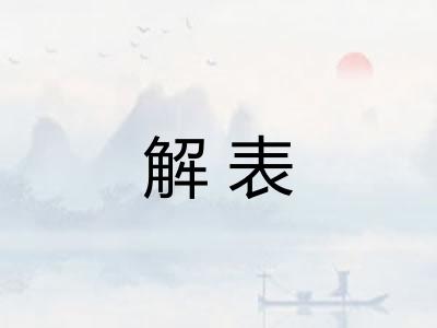 解表