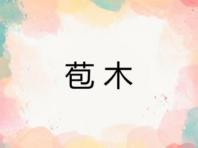 苞木