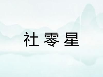 社零星