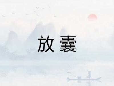 放囊