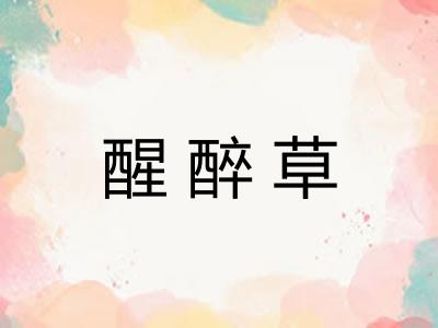 醒醉草