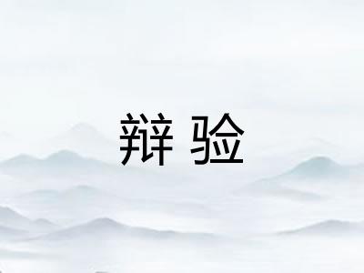 辩验