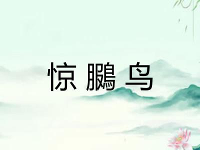 惊鵩鸟