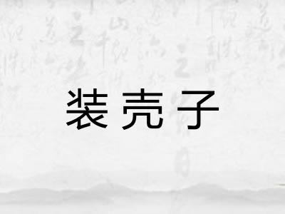 装壳子