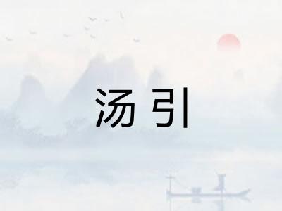 汤引