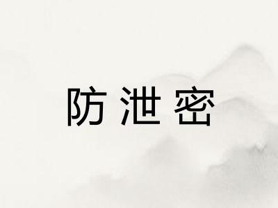 防泄密