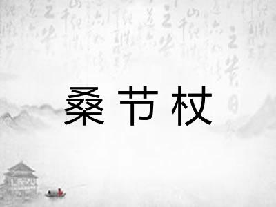 桑节杖