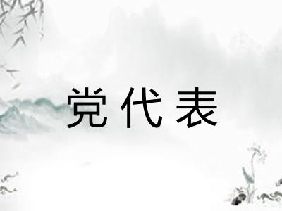 党代表