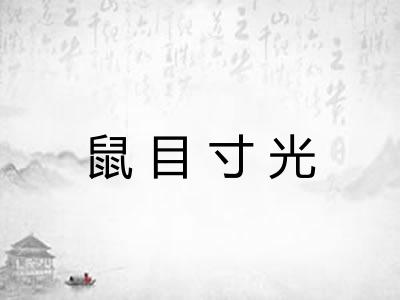 鼠目寸光