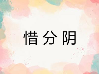 惜分阴