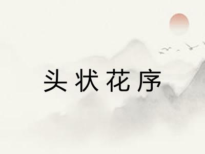 头状花序