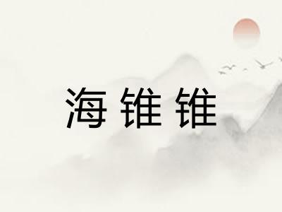 海锥锥