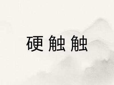 硬触触