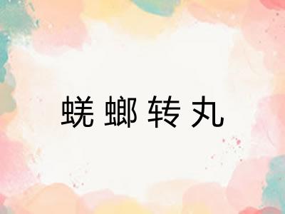 蜣螂转丸