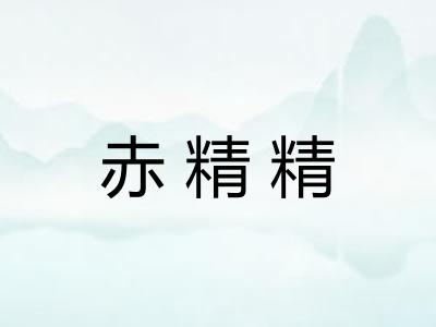 赤精精