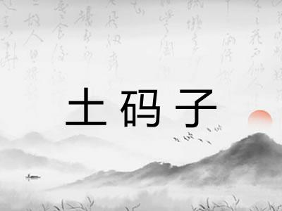 土码子