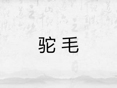 驼毛