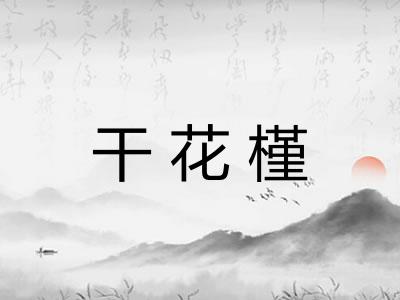 干花槿