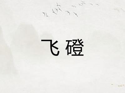 飞磴