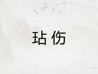 玷伤