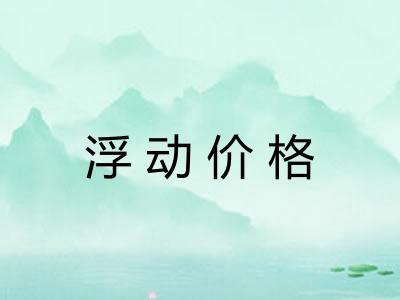 浮动价格
