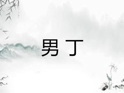 男丁