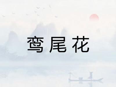 鸾尾花