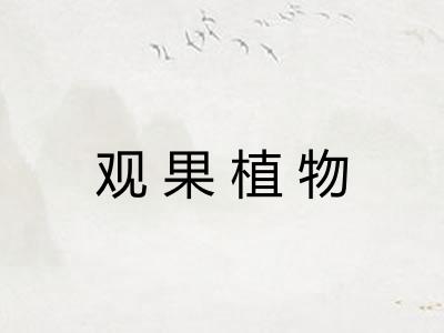 观果植物