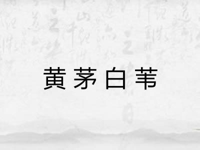 黄茅白苇
