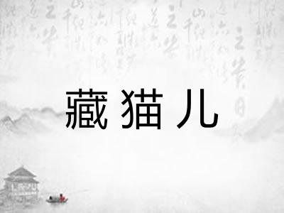 藏猫儿