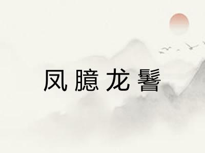 凤臆龙鬐