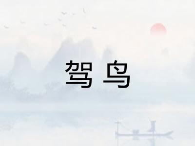 驾鸟