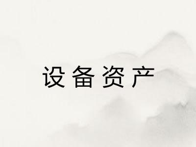 设备资产