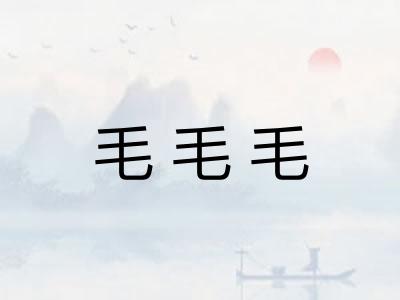 毛毛毛
