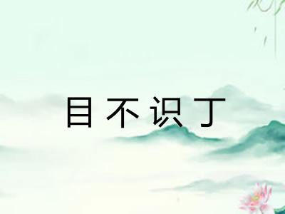 目不识丁
