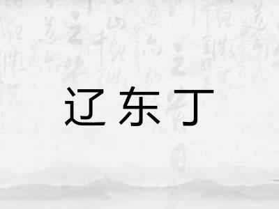 辽东丁