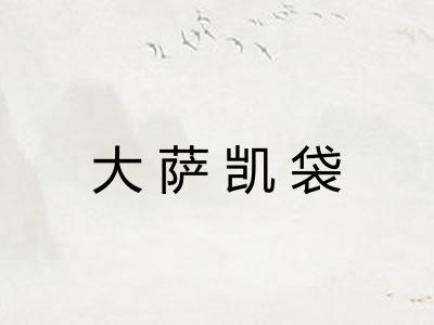 大萨凯袋