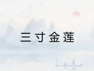 三寸金莲