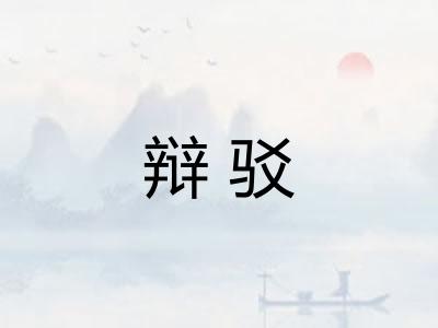 辩驳
