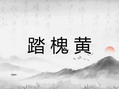 踏槐黄