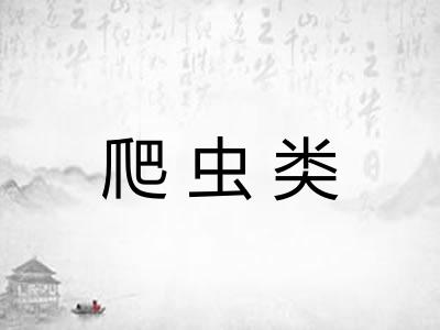 爬虫类