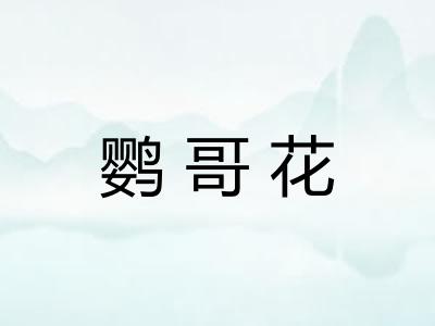 鹦哥花