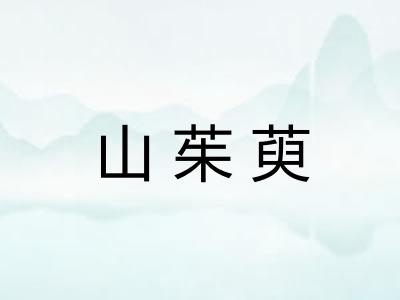 山茱萸